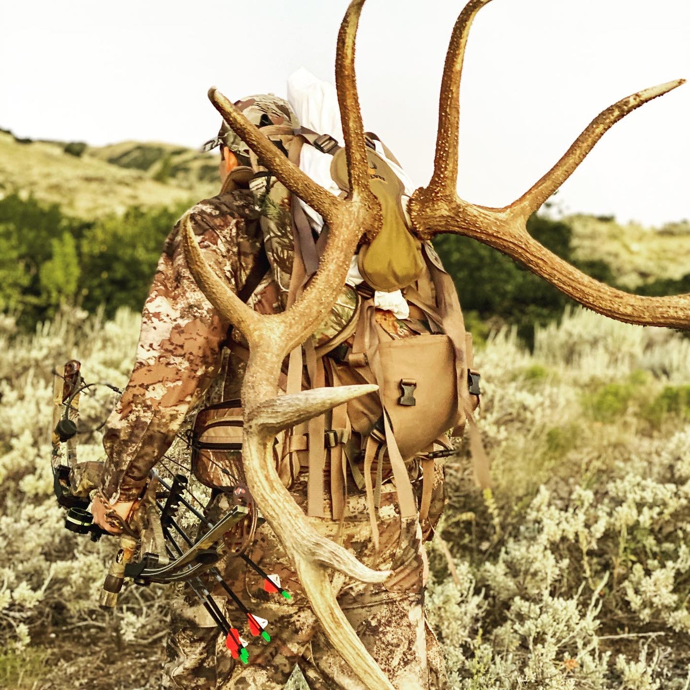 Trophy Head Hauler